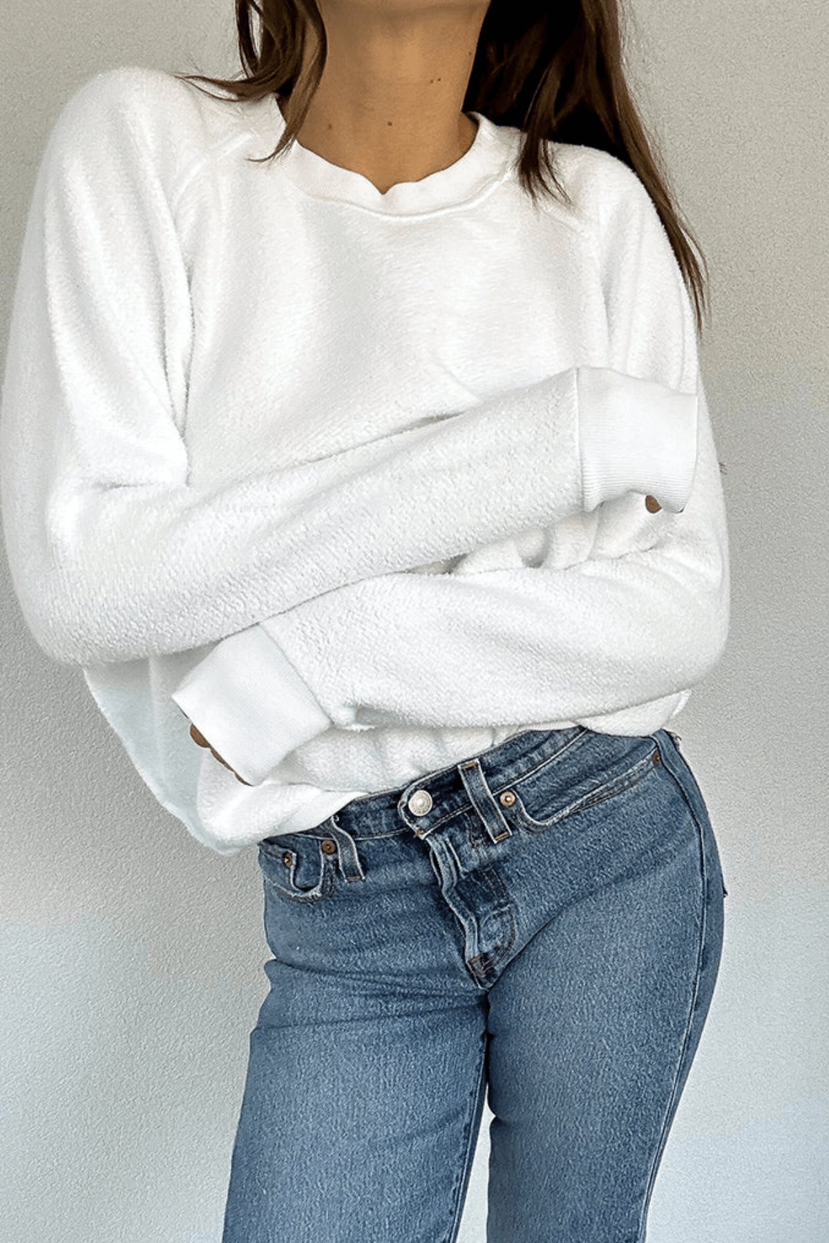 Perfect White Tee Ziggy Sweatshirt White