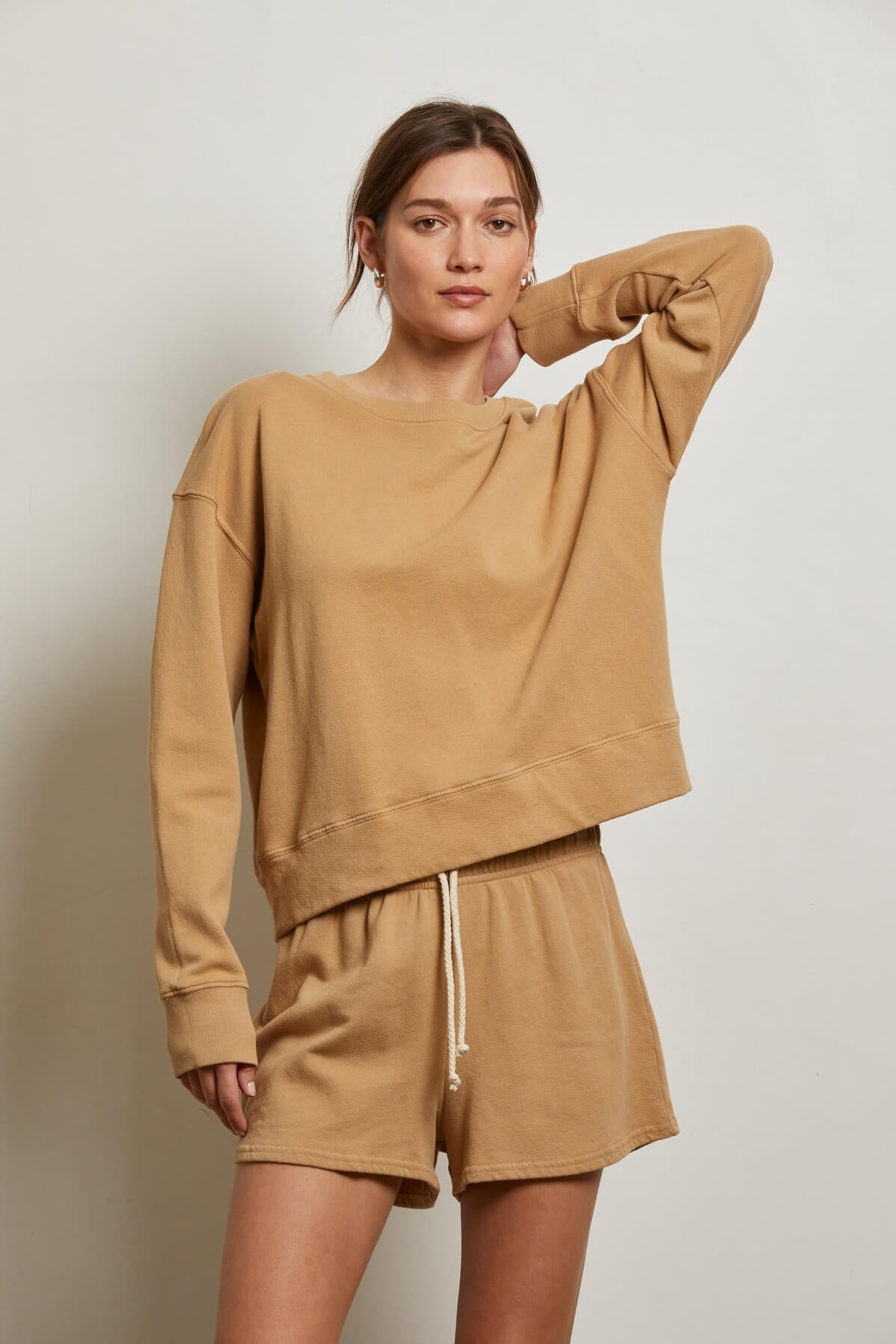 Perfect White Tee Tyler Sweatshirt in Suede