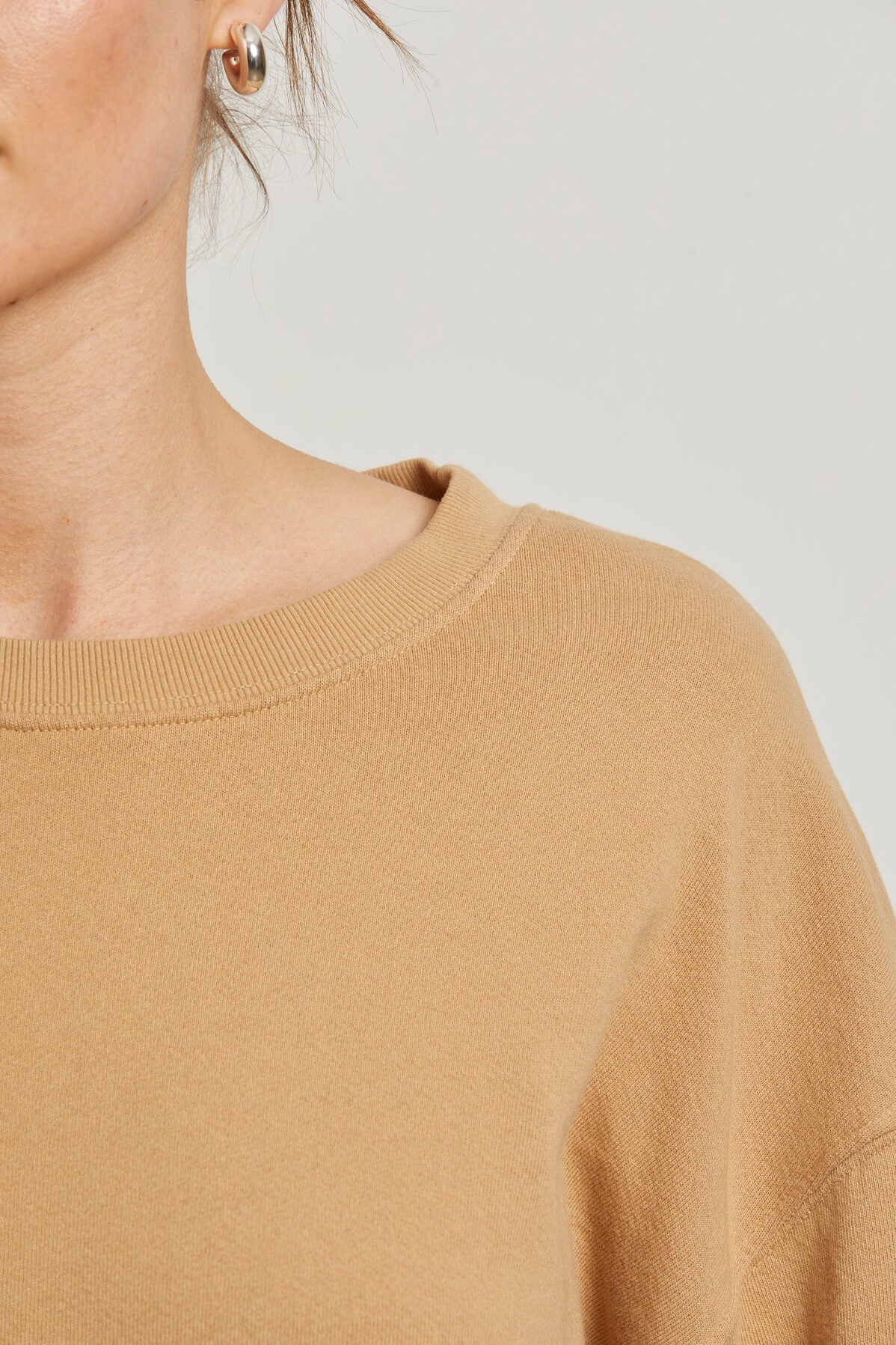 Perfect White Tee Tyler Sweatshirt in Suede