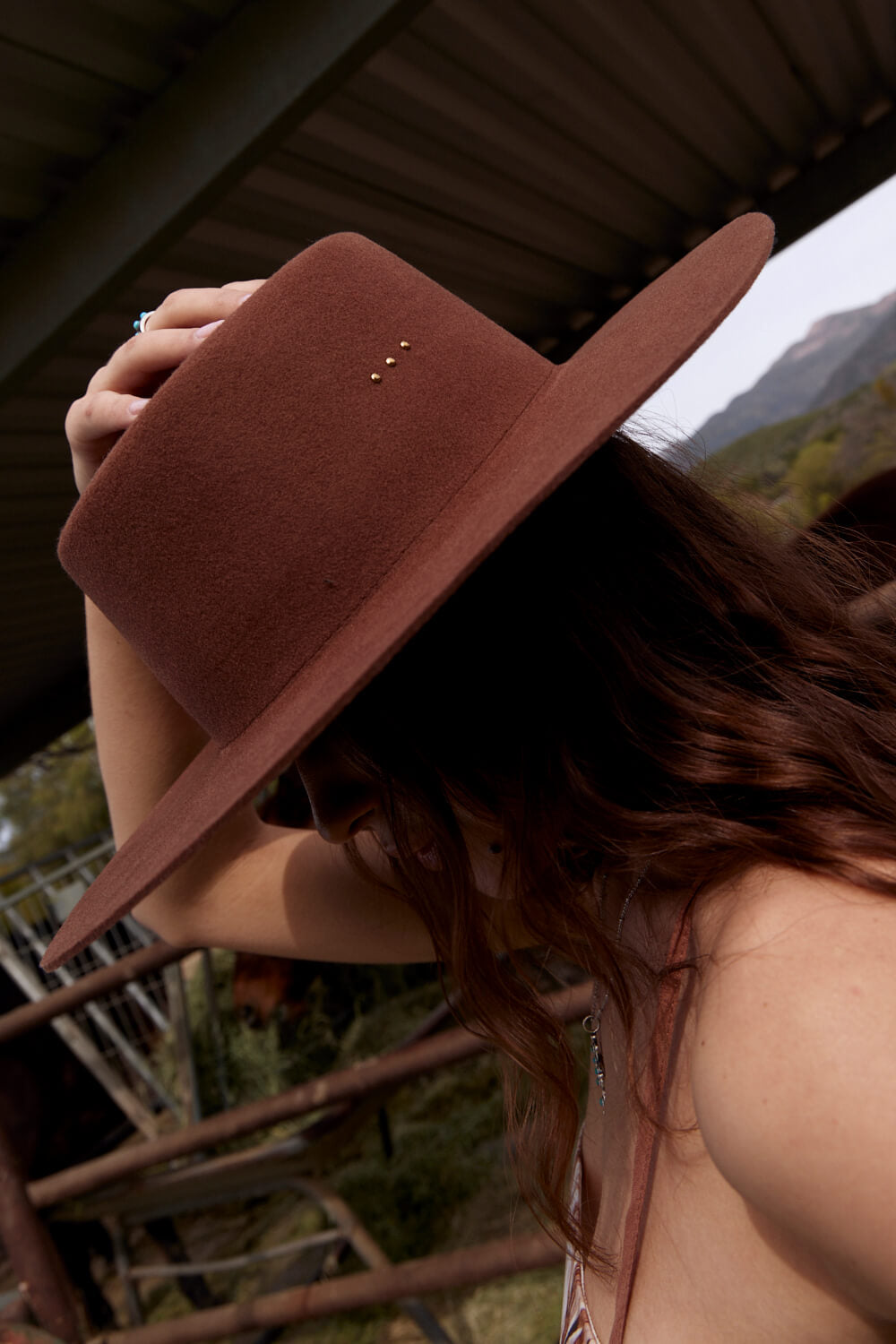 Women's brown hat with small side detail