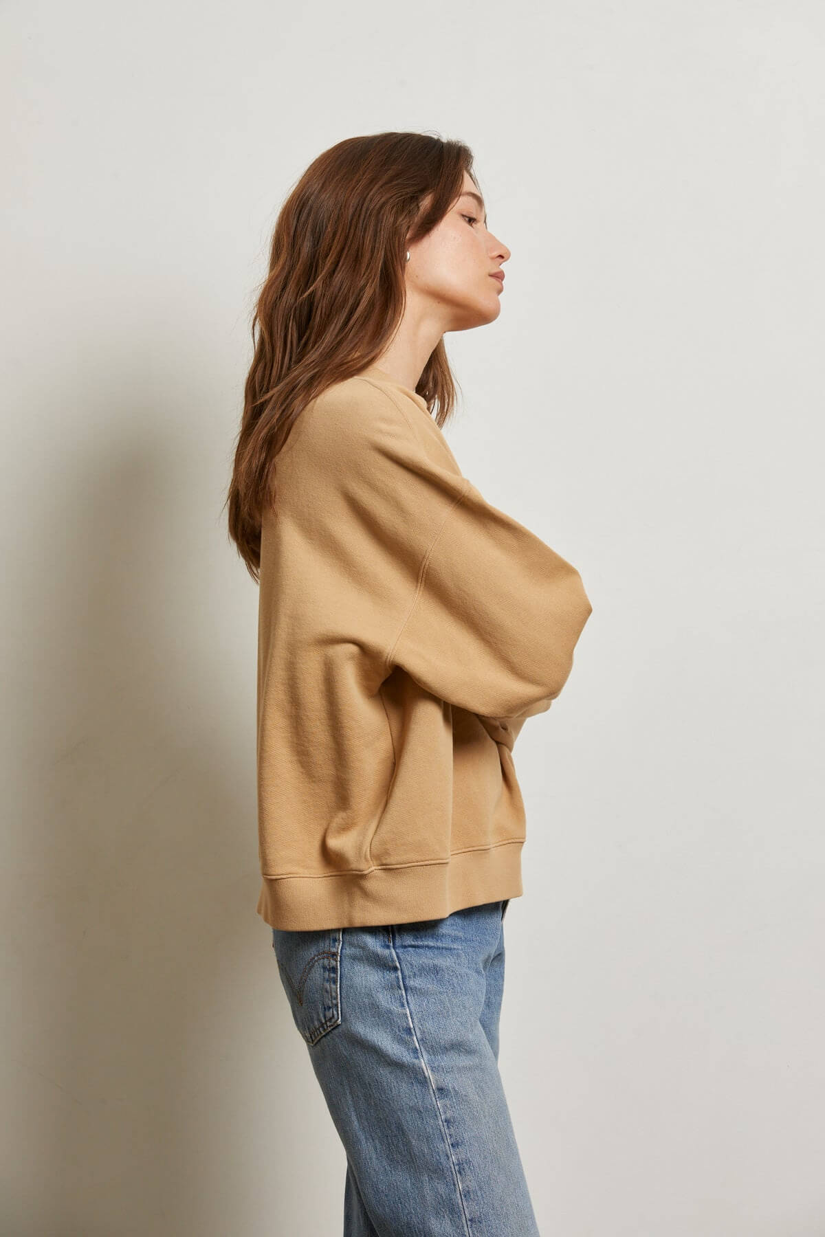 Perfect White Tee Blake Sweatshirt in suede