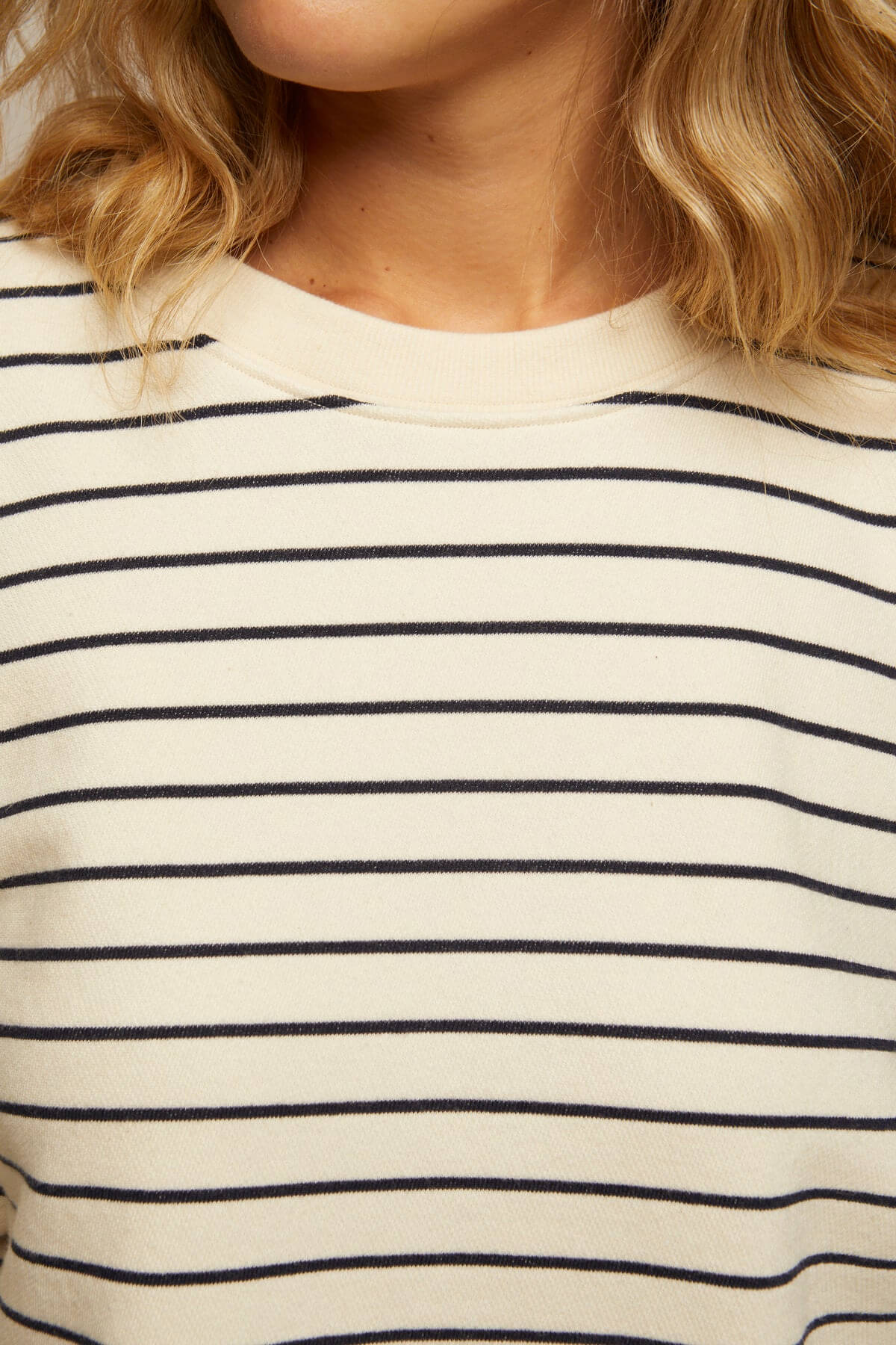 Perfect White Tee Niall Sweatshirt in navy stripe
