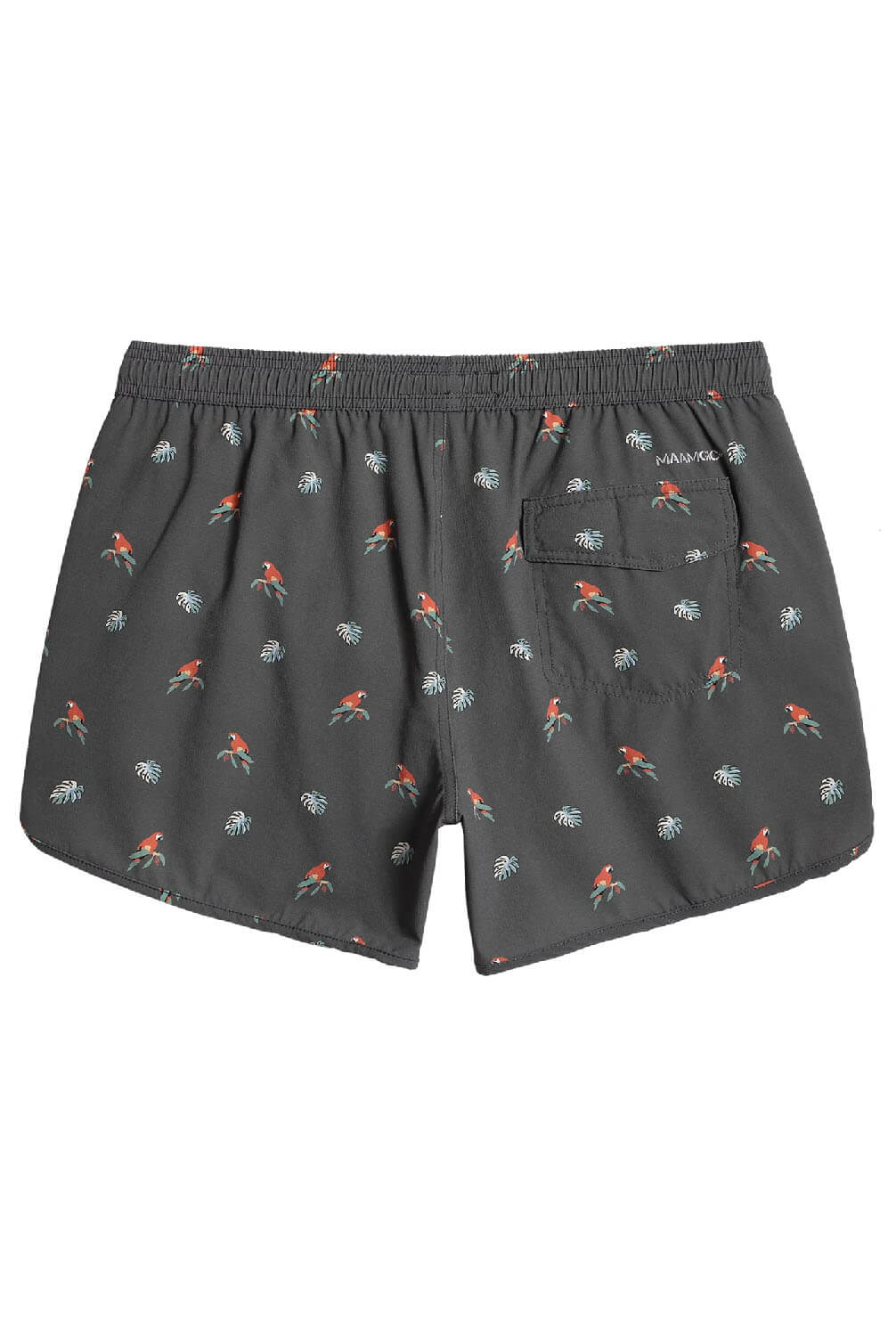 mens parrot swim trunks