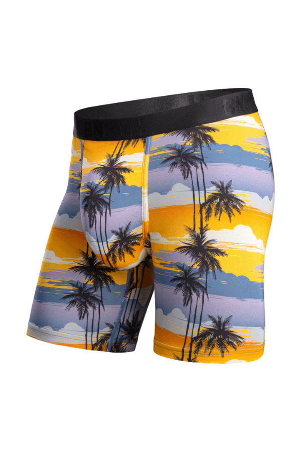 Icon trunk palm tree mimosa