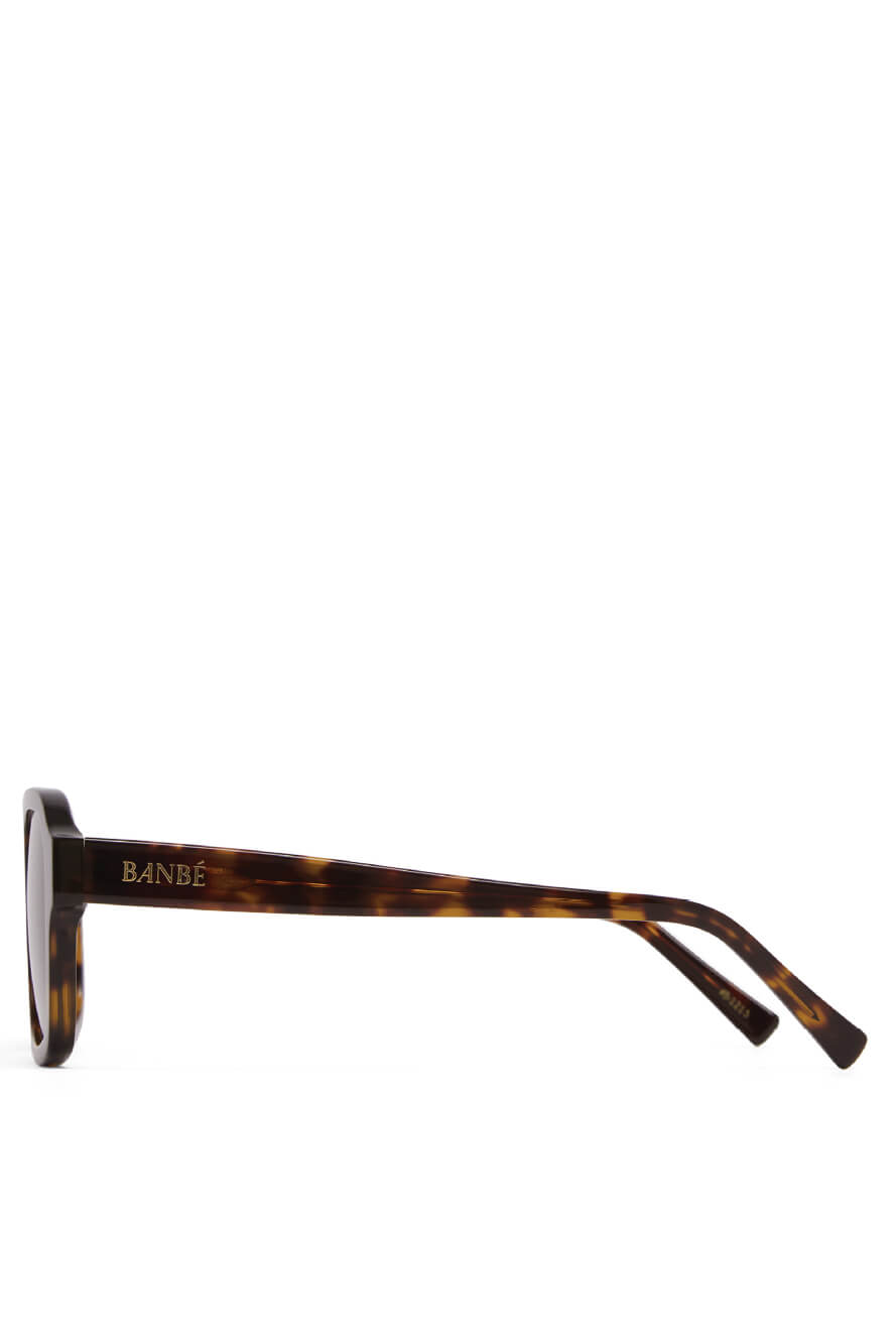 Banbe Del Ray Sunglasses  in havana tortoise