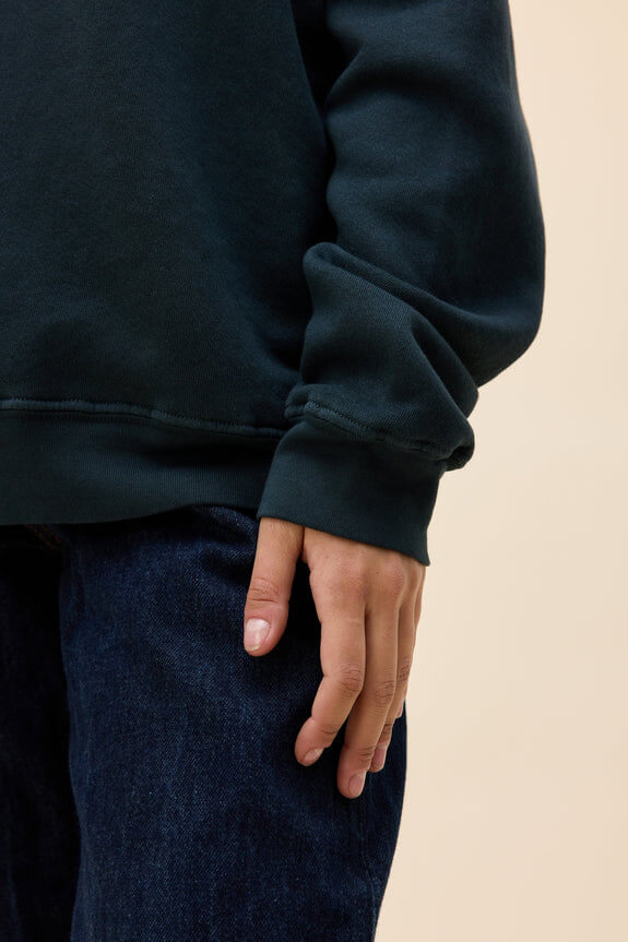 Daydreamer Solid Raglan Sweatshirt in vintage black