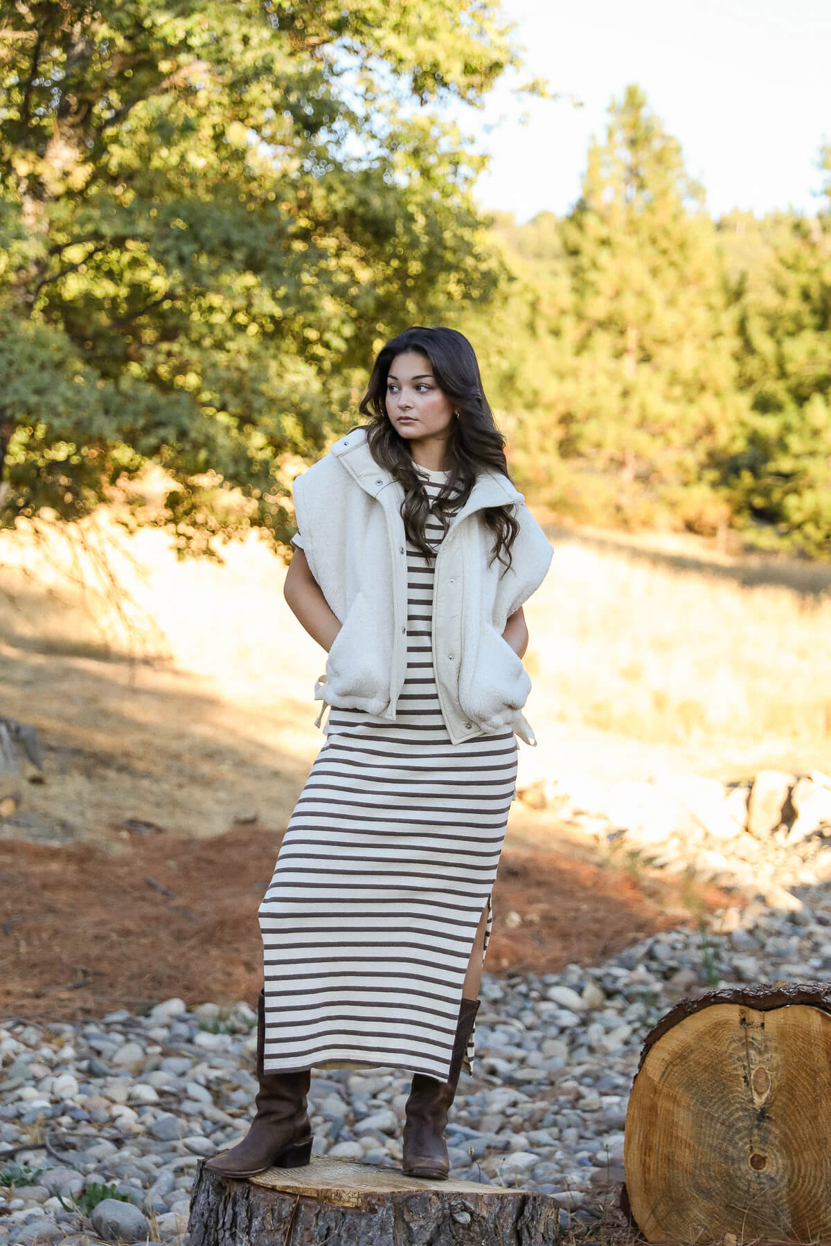 Perfect White Tee Lover dress in walnut stripe