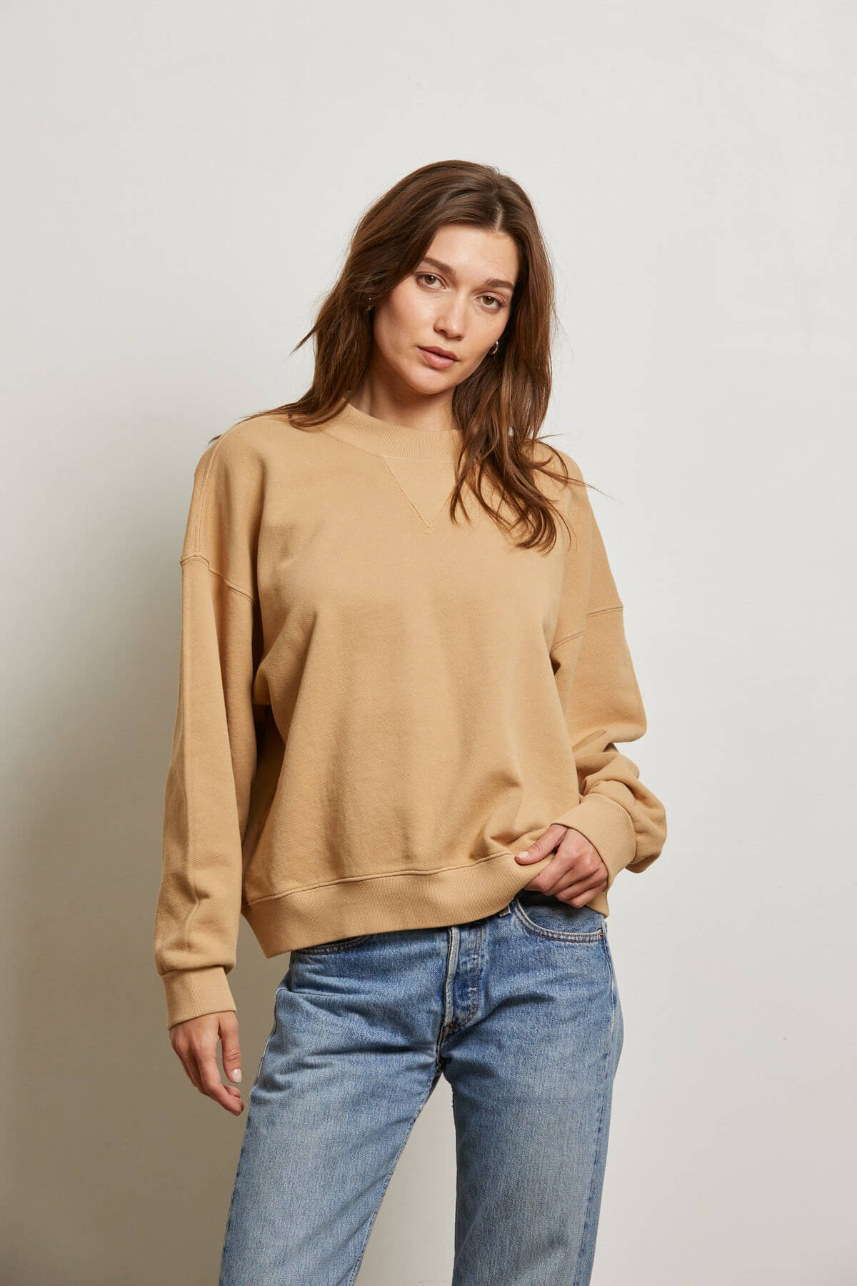 Perfect White Tee Blake Sweatshirt in suede