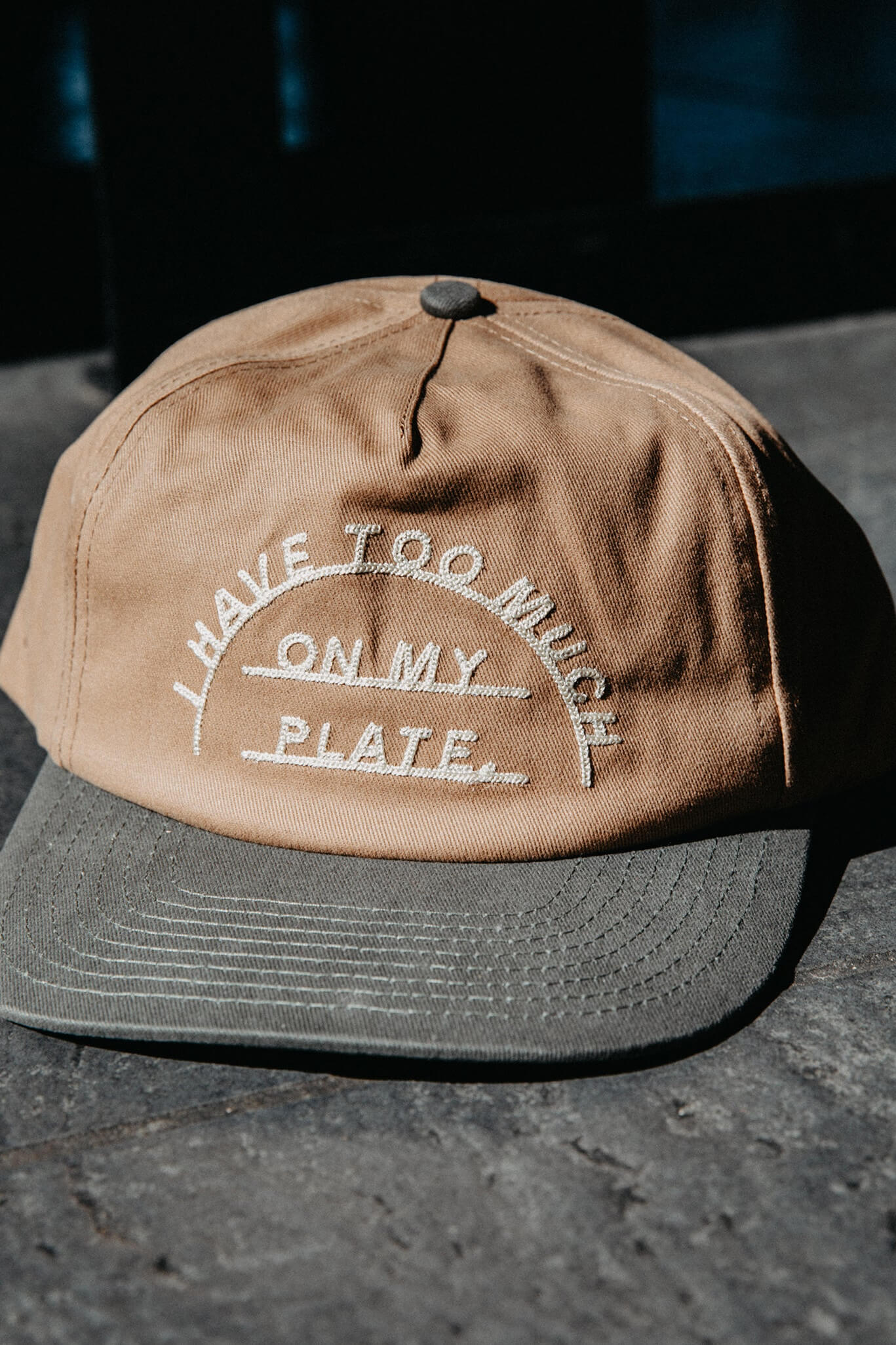 Pyknic Too Much On My Plate Hat