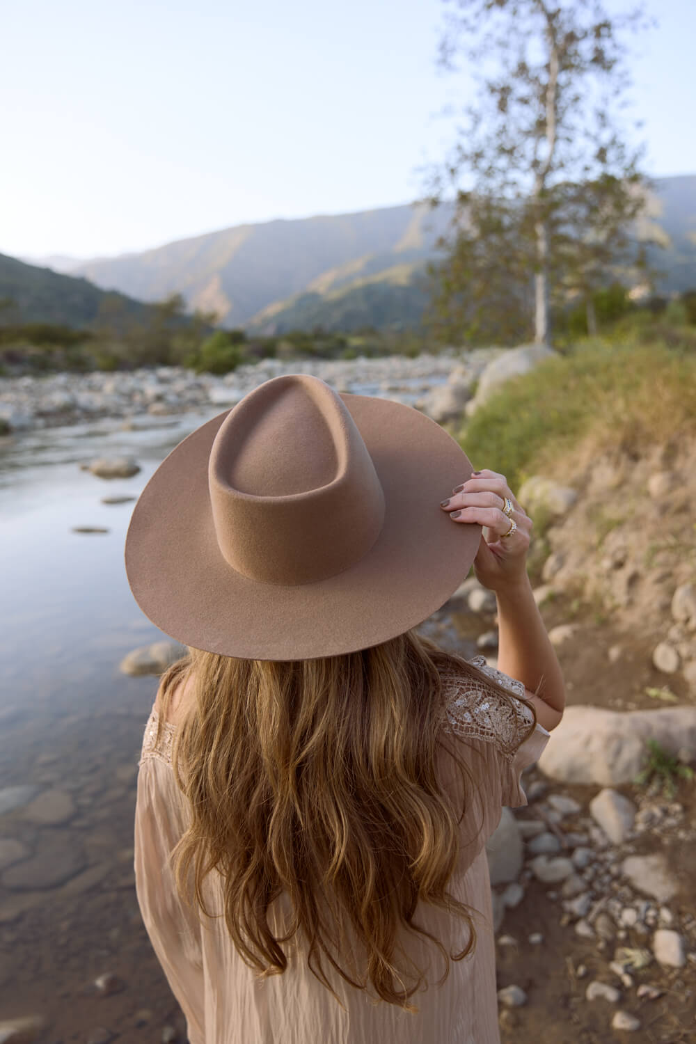 Wyeth brown hat